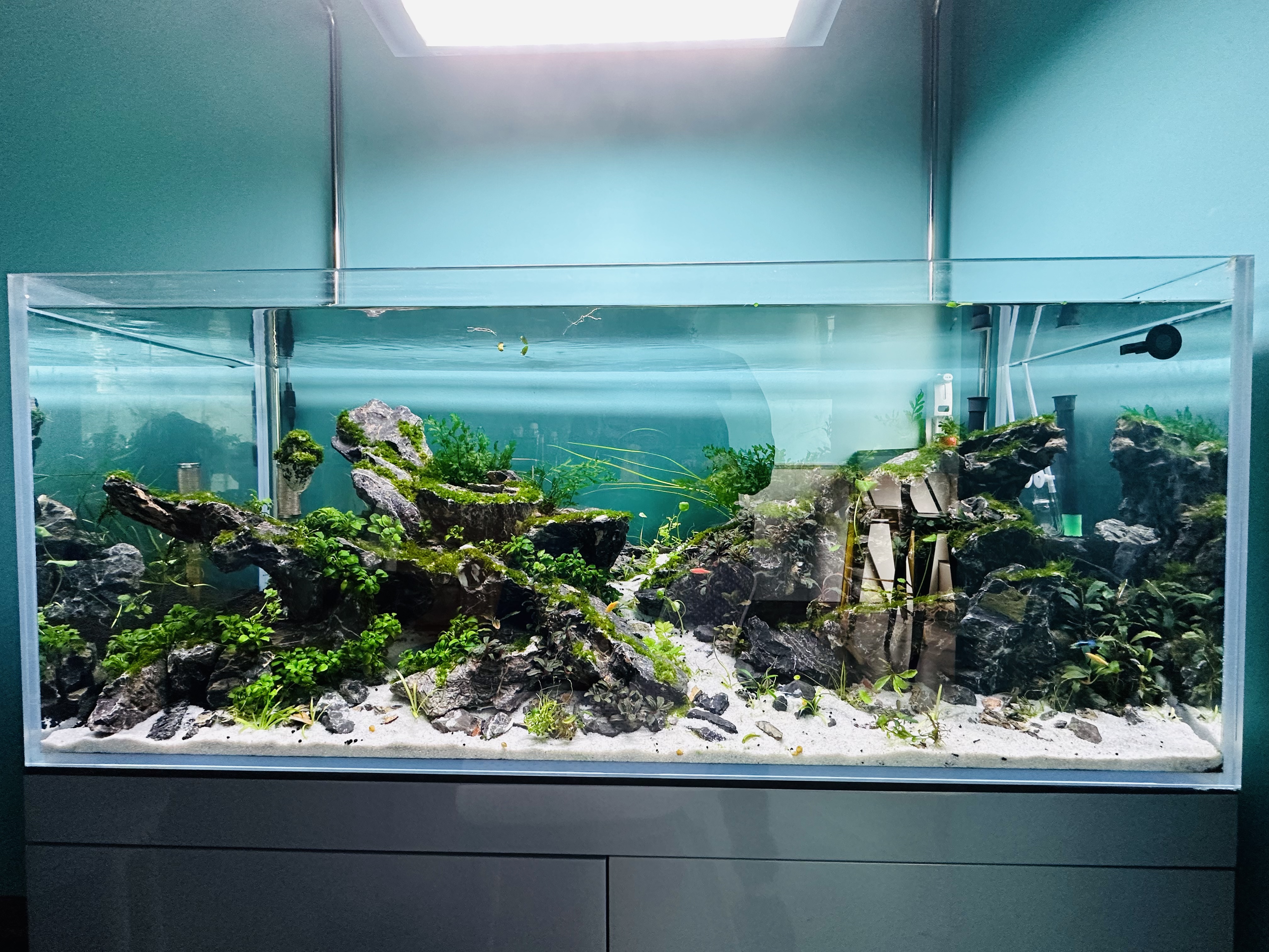 Nguyễn hoàng tuyen222