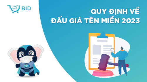 Những điều cần biết về quy định đấu giá tên miền 2023